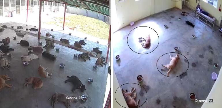 A description of the image