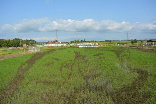 A description of the image