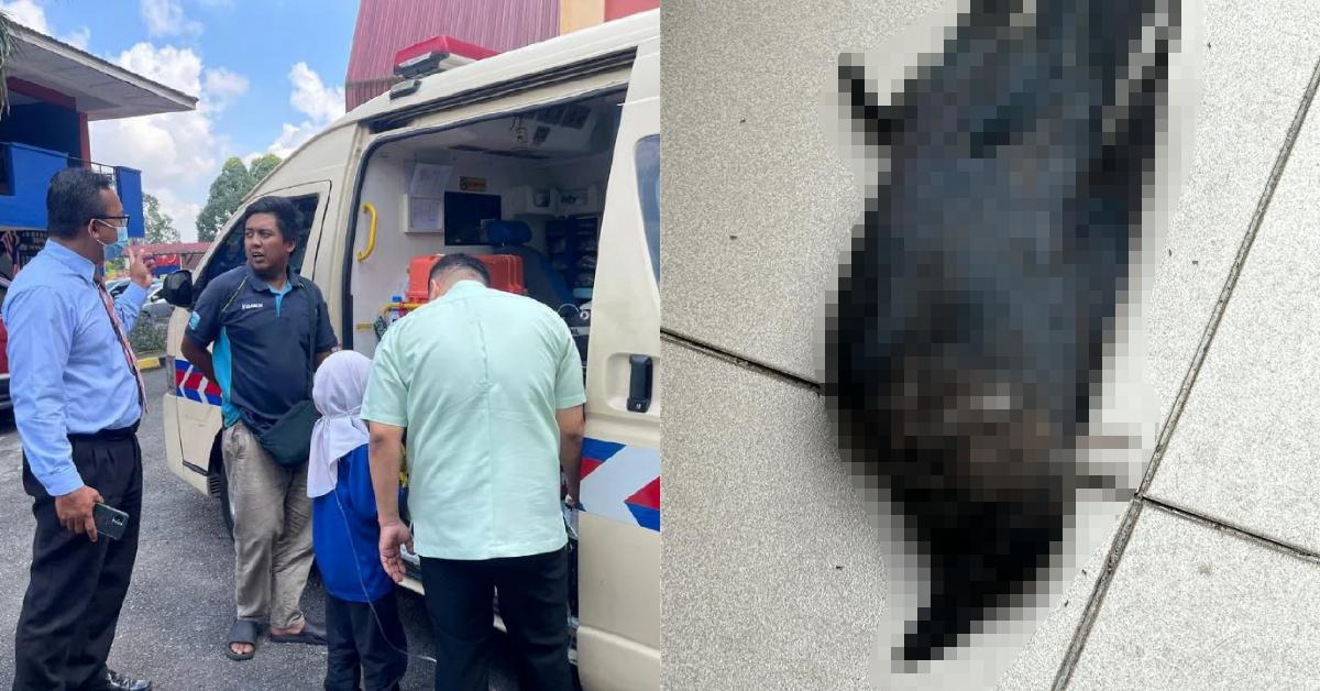 A description of the image