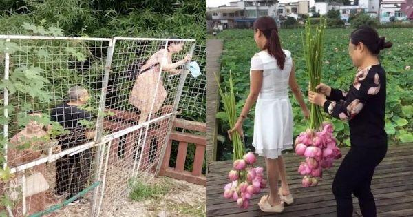 A description of the image