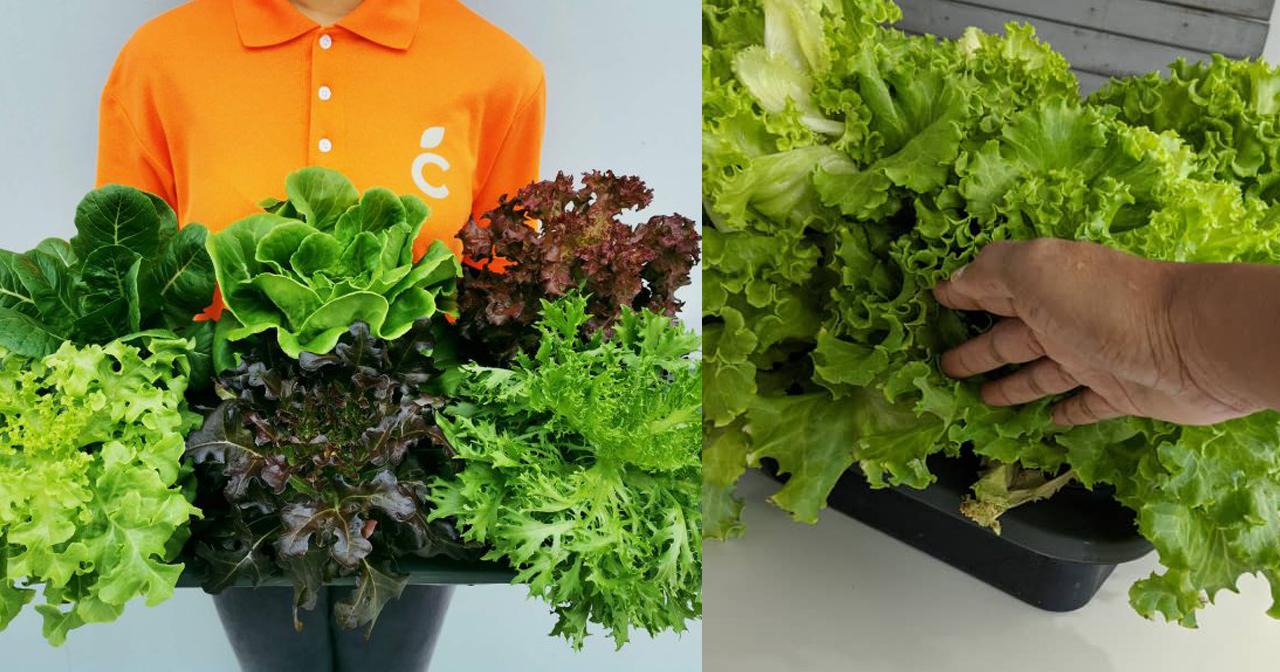 A description of the image