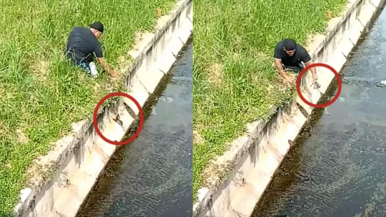 A description of the image