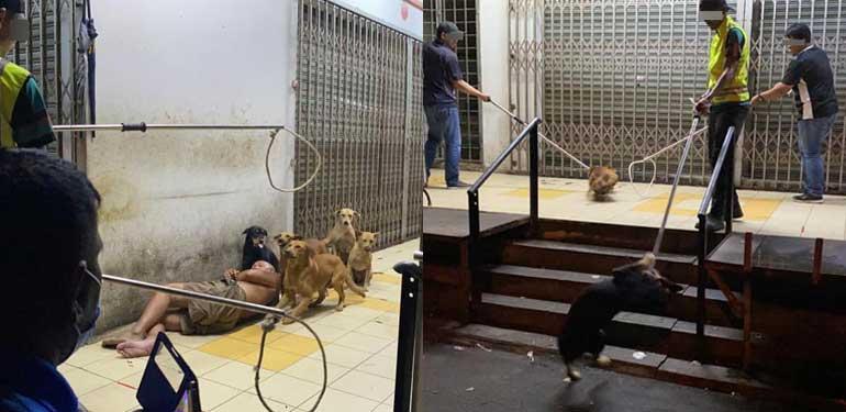 A description of the image