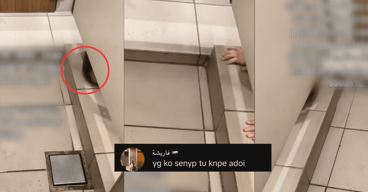 A description of the image