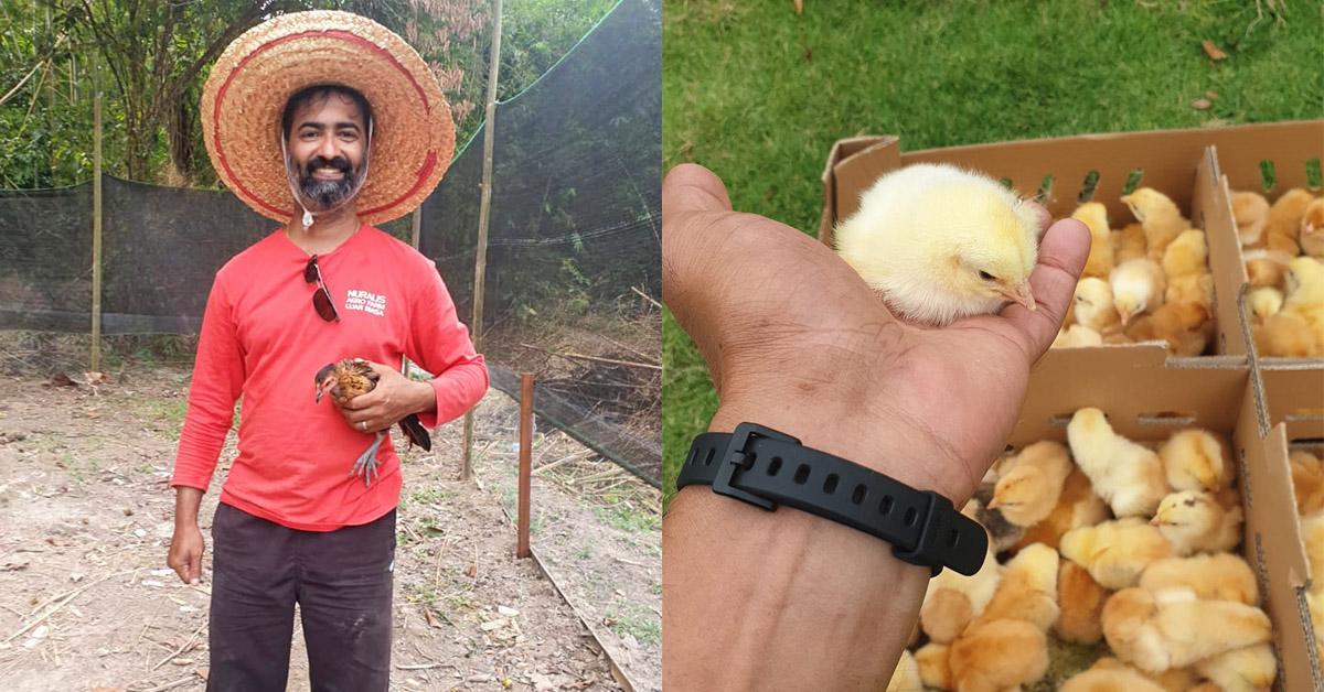 A description of the image