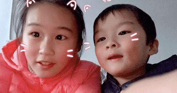 A description of the image