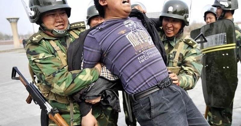 A description of the image