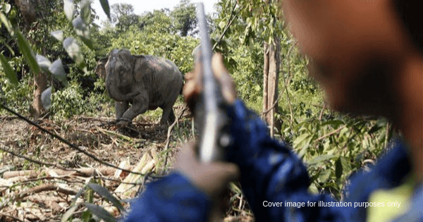 A description of the image