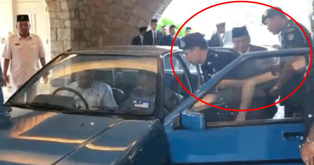 A description of the image