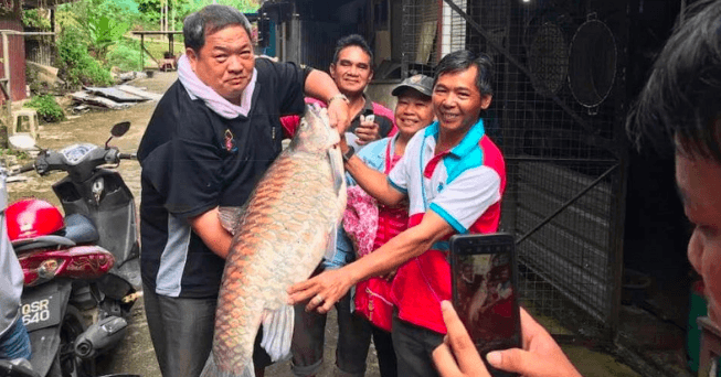 A description of the image