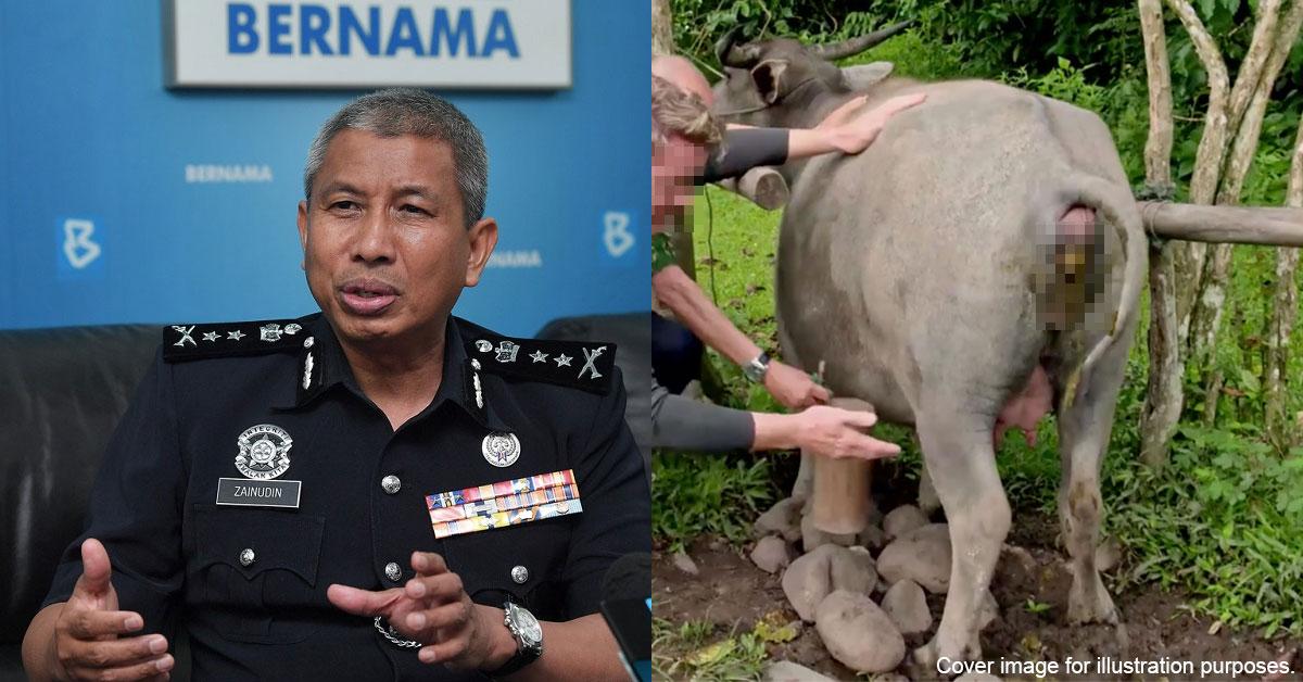 A description of the image