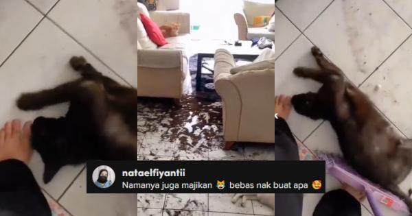 A description of the image