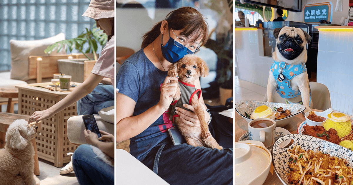 A description of the image