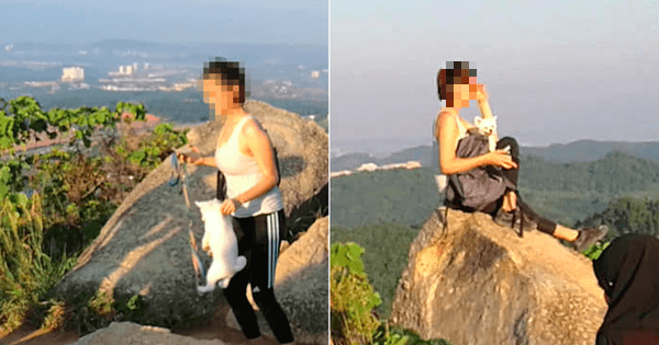 A description of the image