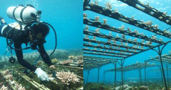 A description of the image