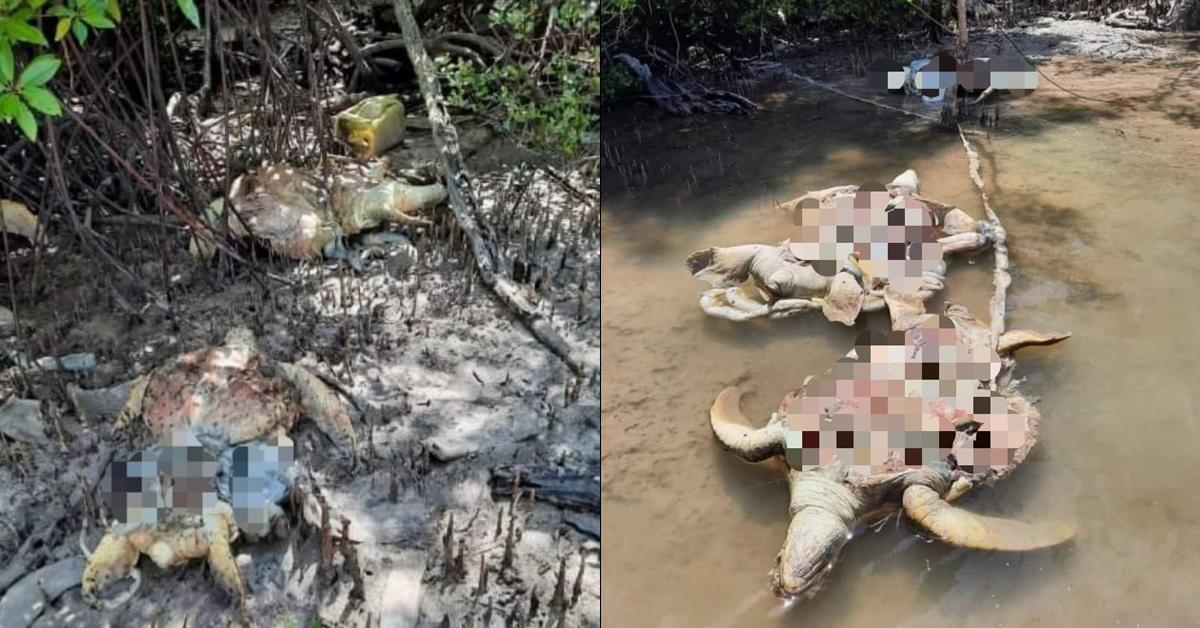 A description of the image