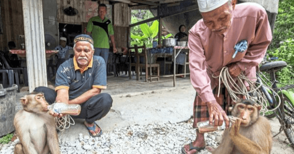 A description of the image