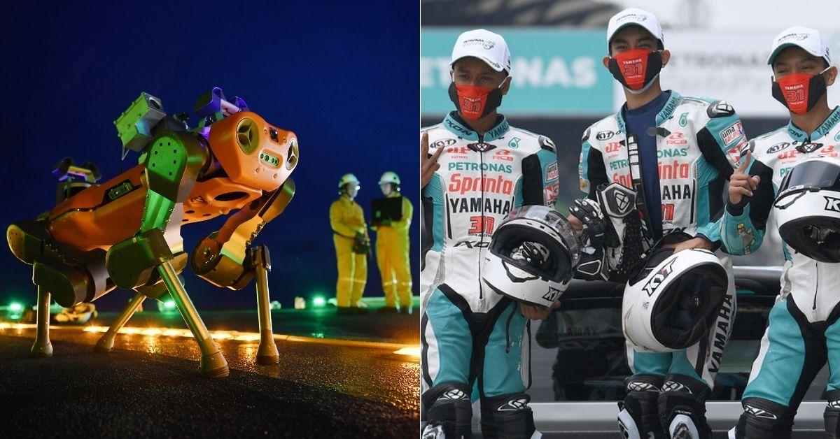 A description of the image