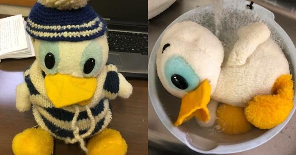 A description of the image