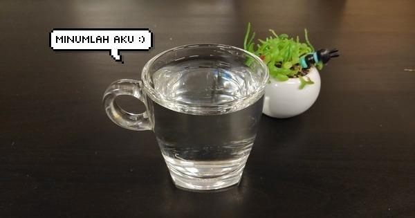 A description of the image