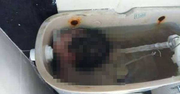 A description of the image