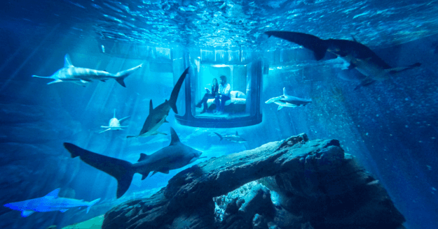 A description of the image