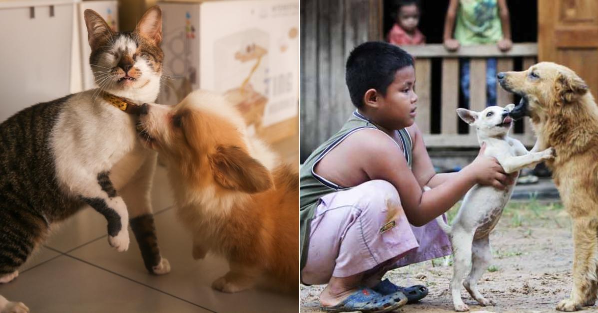 A description of the image