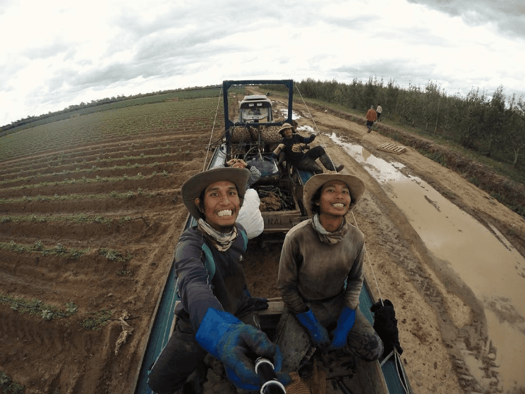 A description of the image