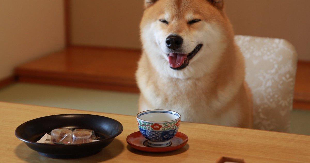 A description of the image