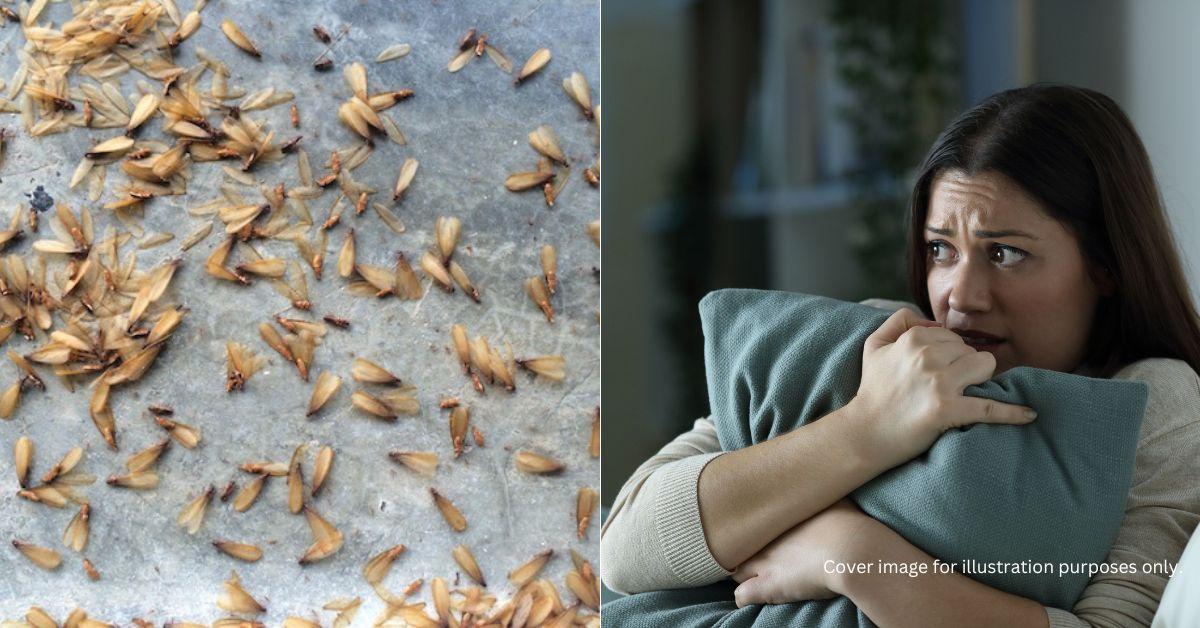 A description of the image