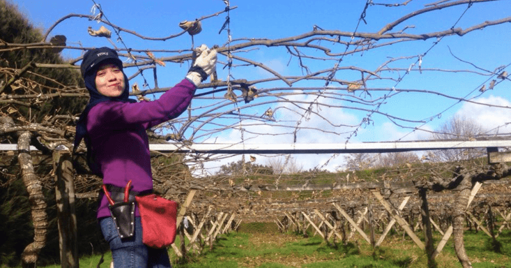 A description of the image