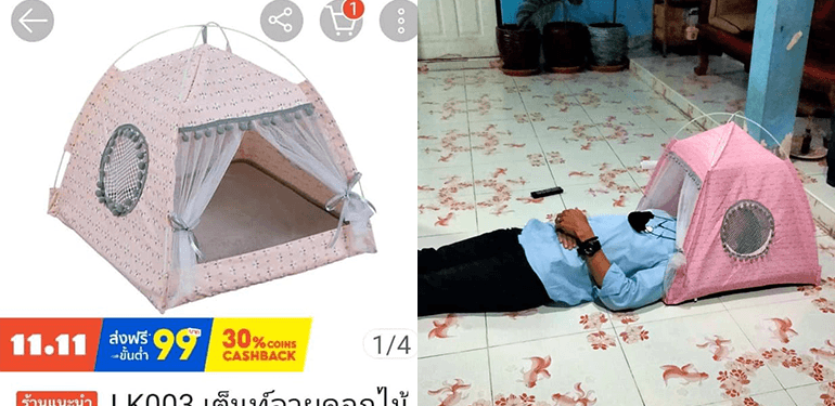 A description of the image