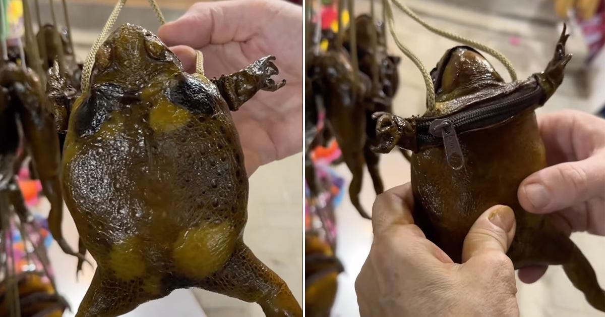 A description of the image