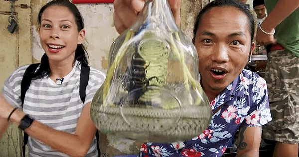 A description of the image