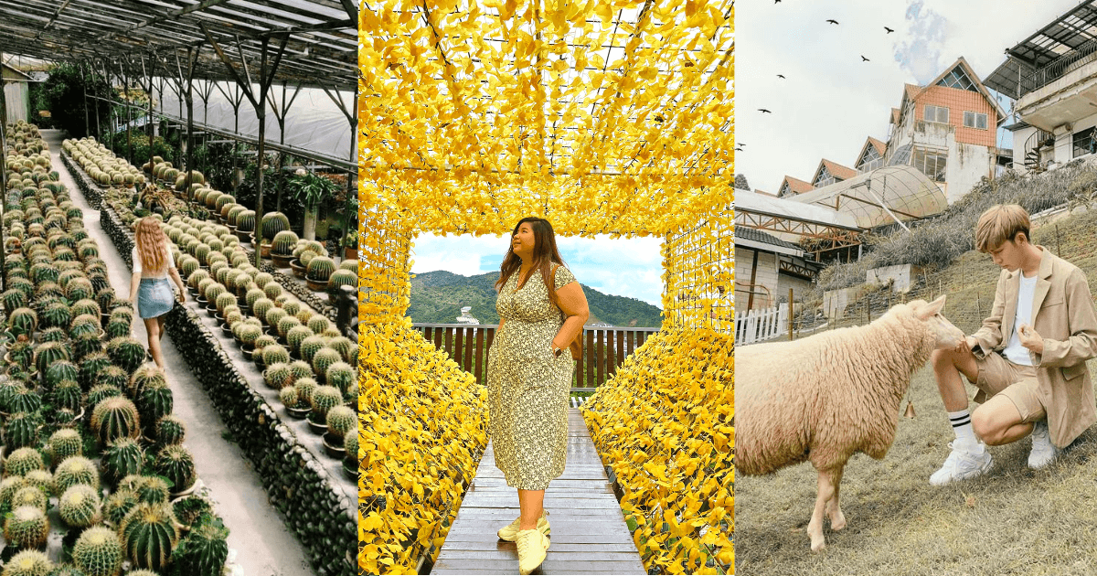 A description of the image