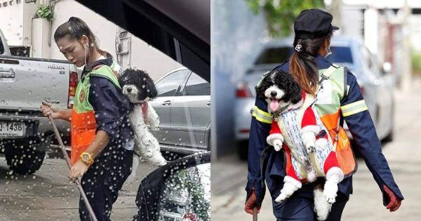 A description of the image