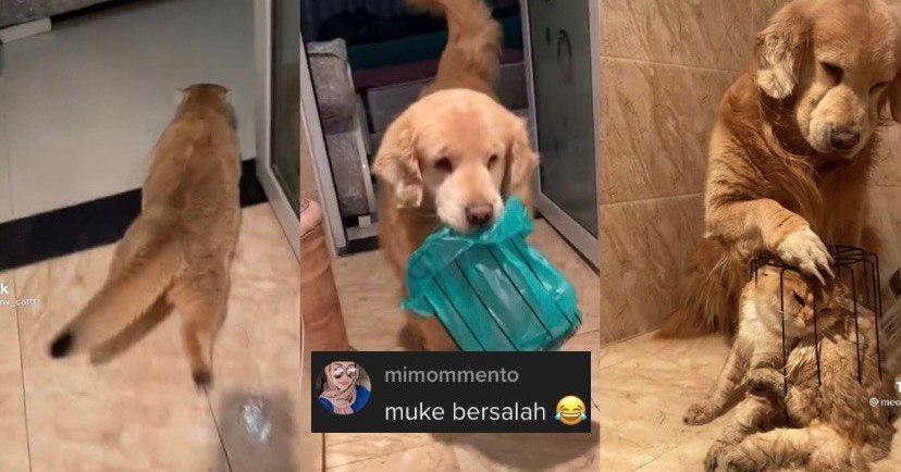 A description of the image