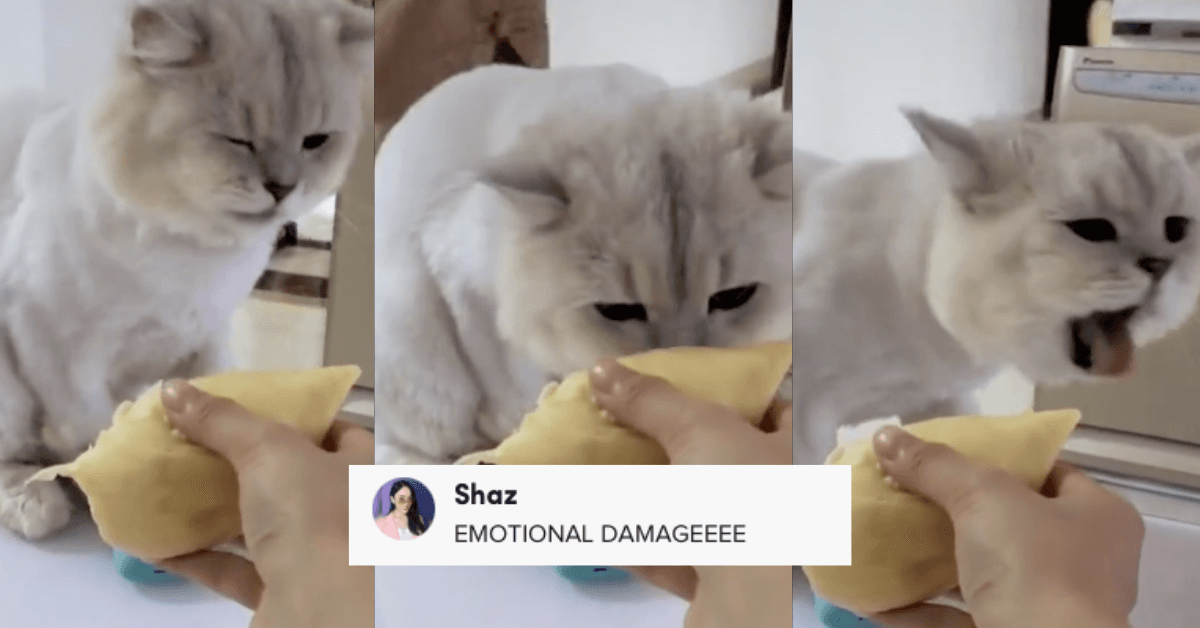 A description of the image