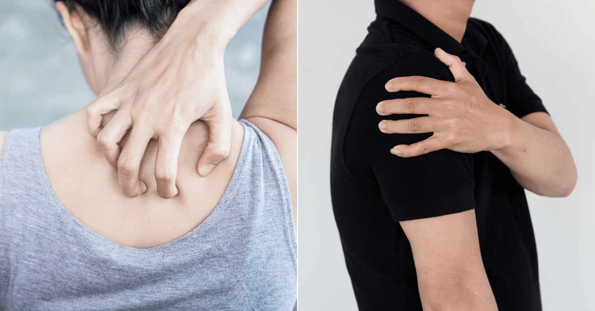 A description of the image