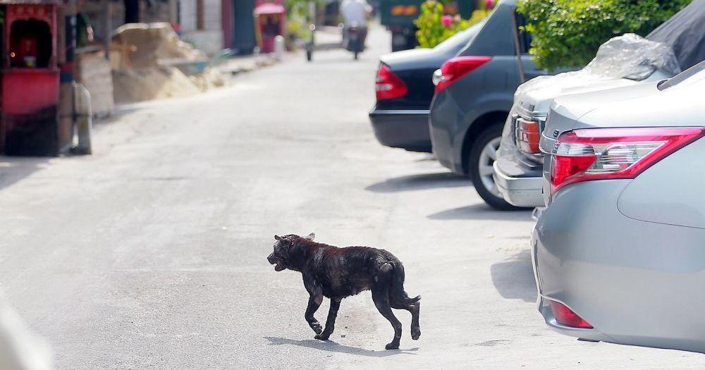 A description of the image