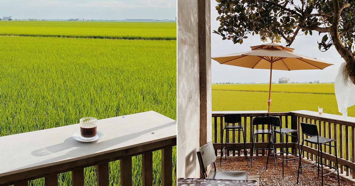 A description of the image