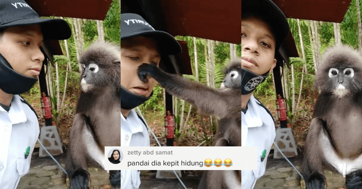 A description of the image