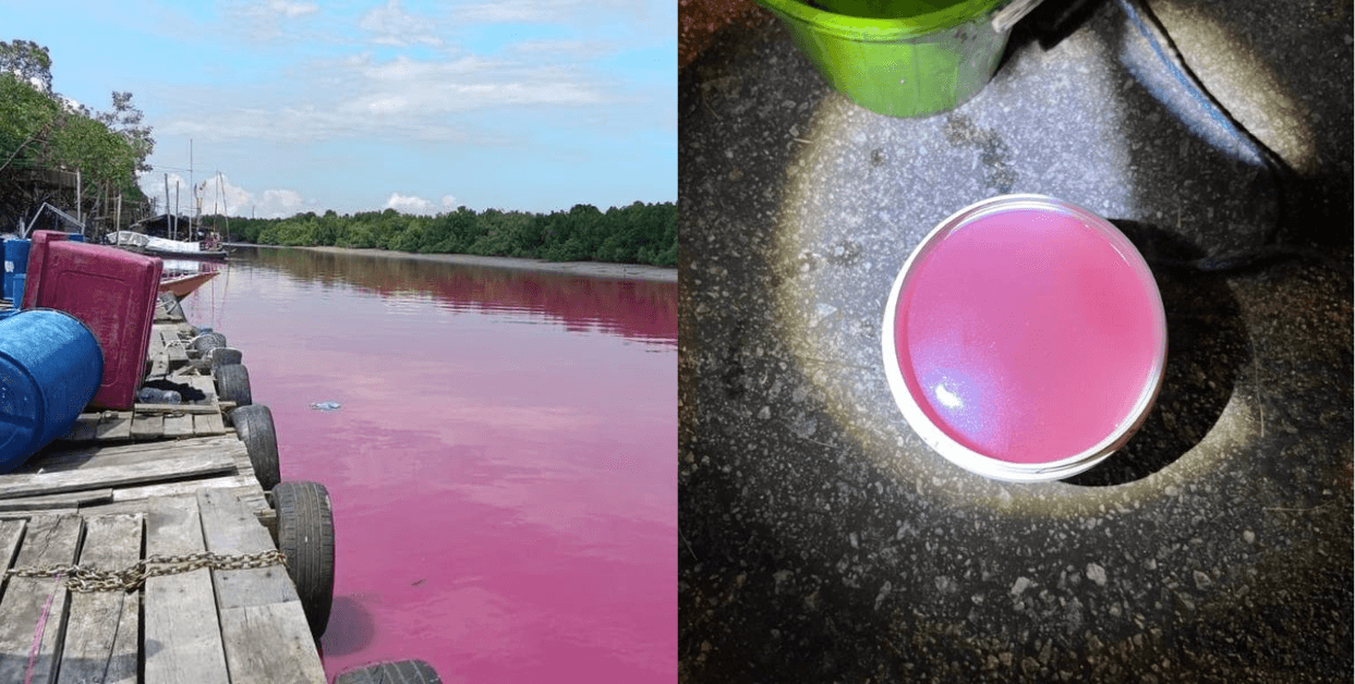 A description of the image