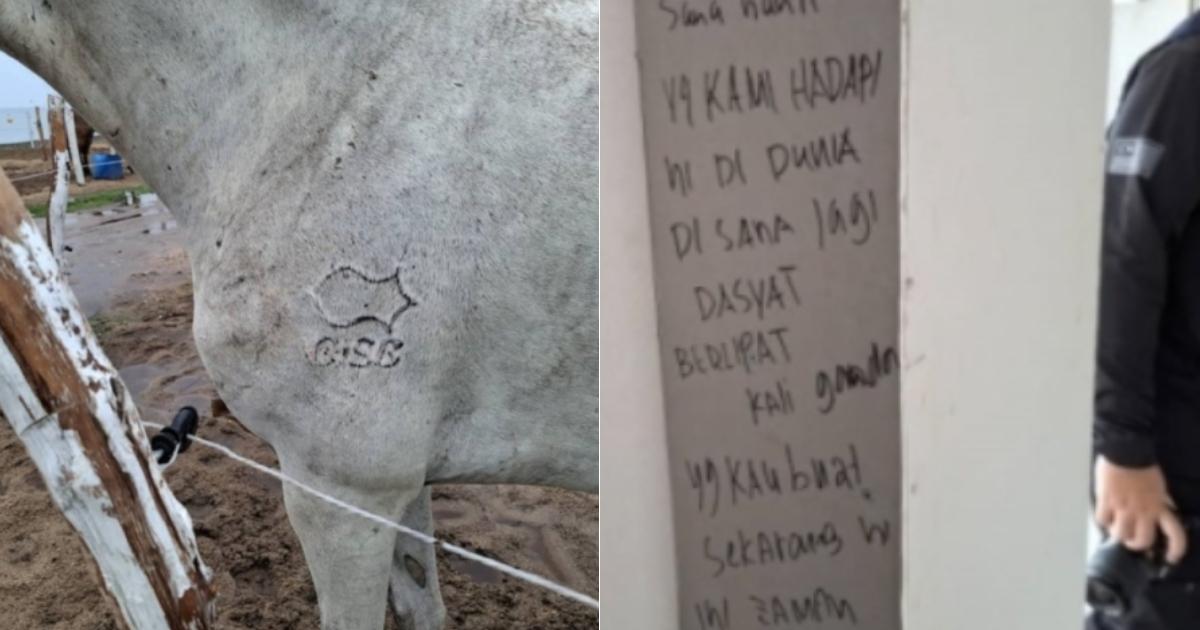 A description of the image