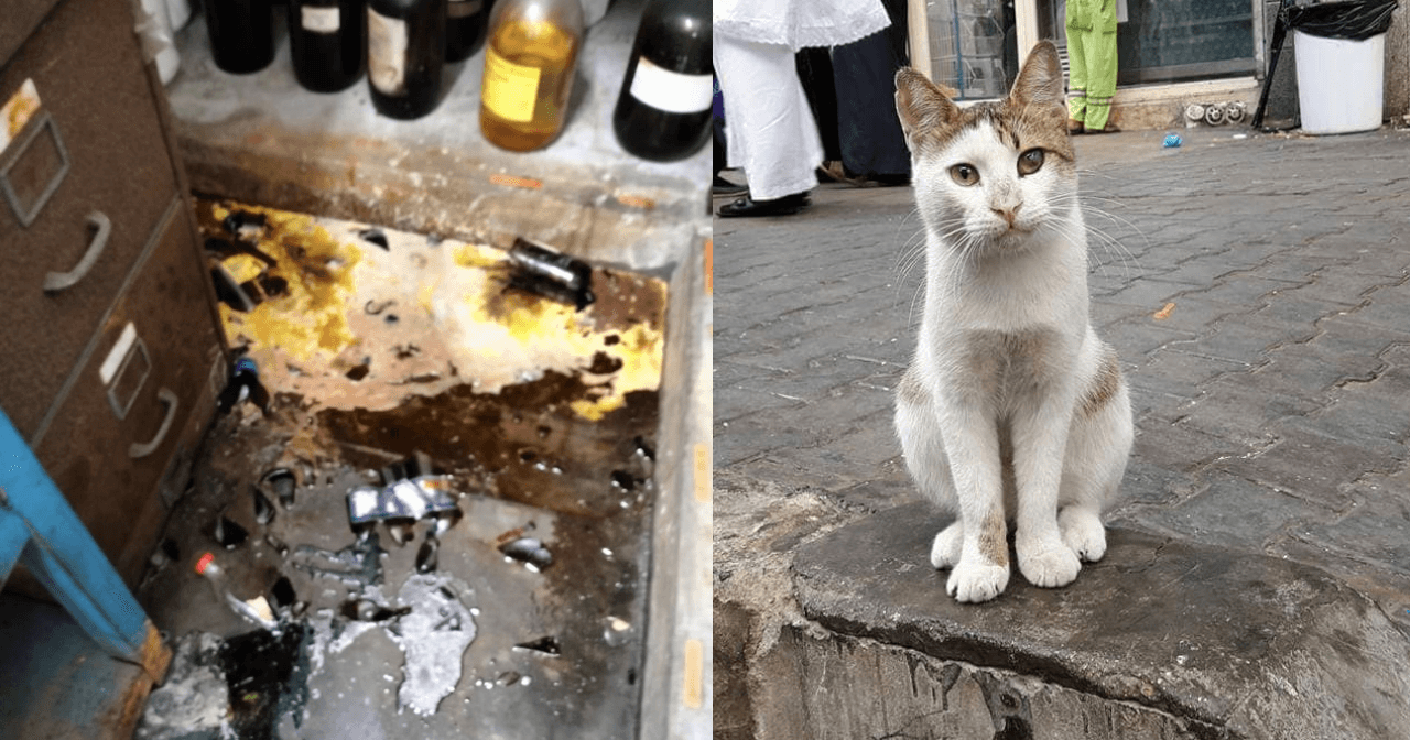 A description of the image