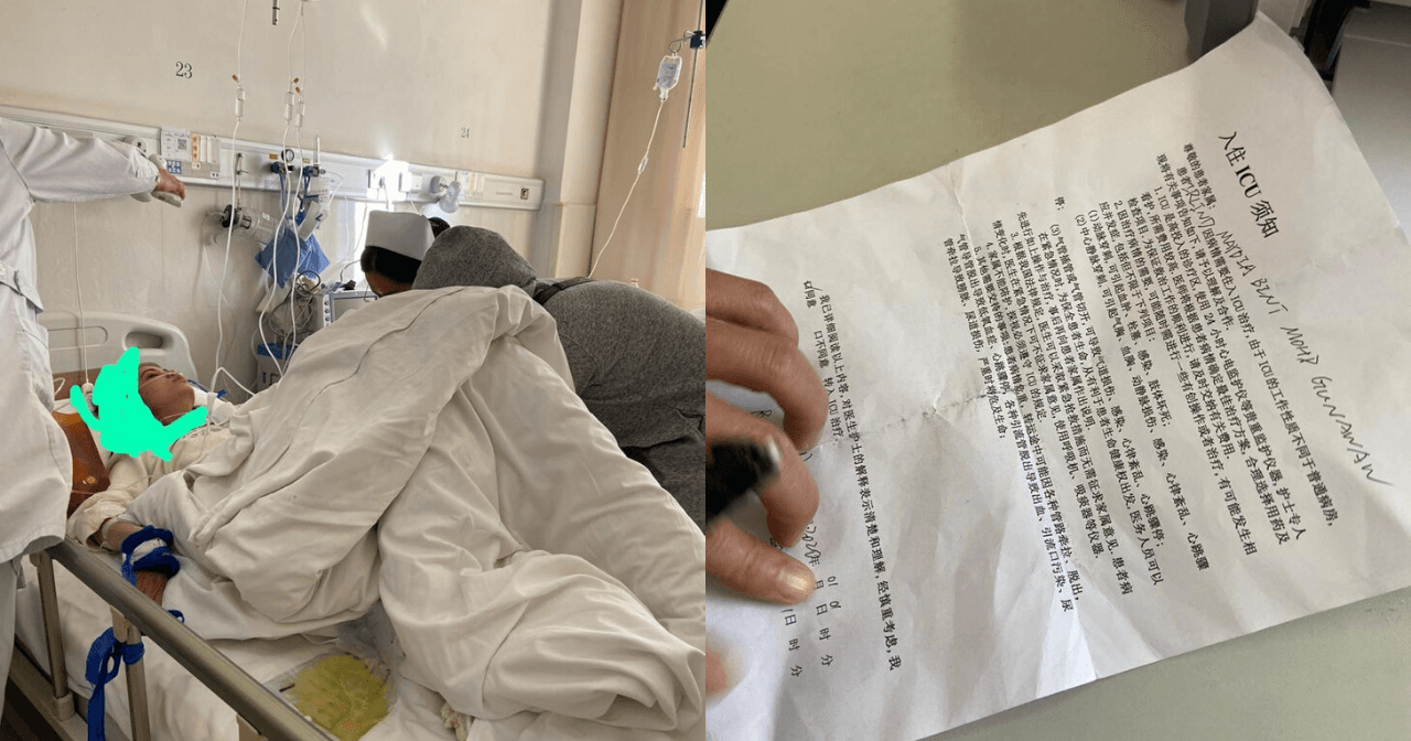 A description of the image