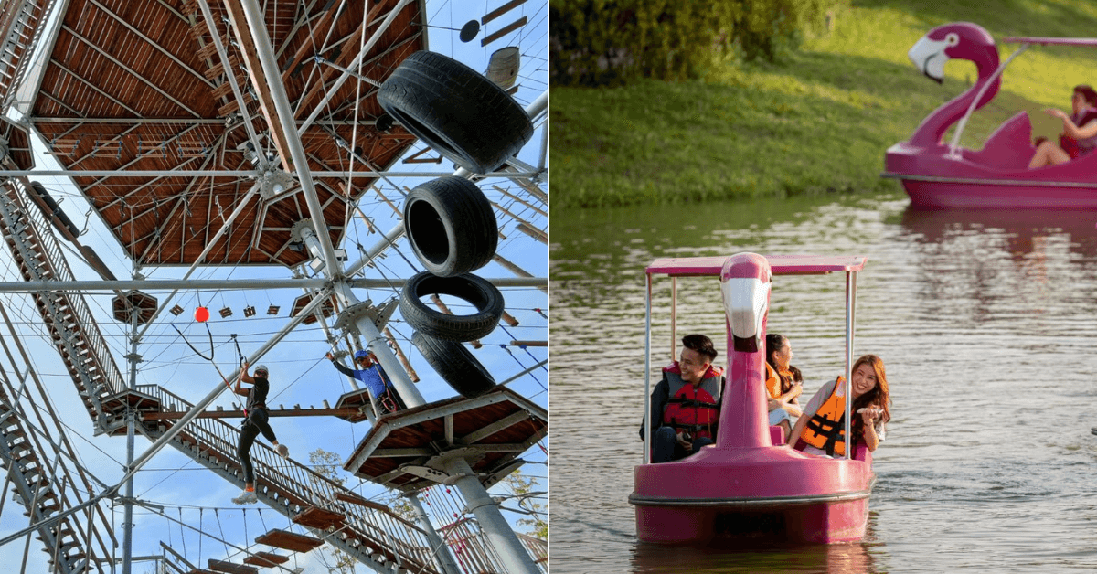 A description of the image