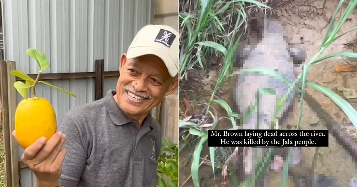 A description of the image