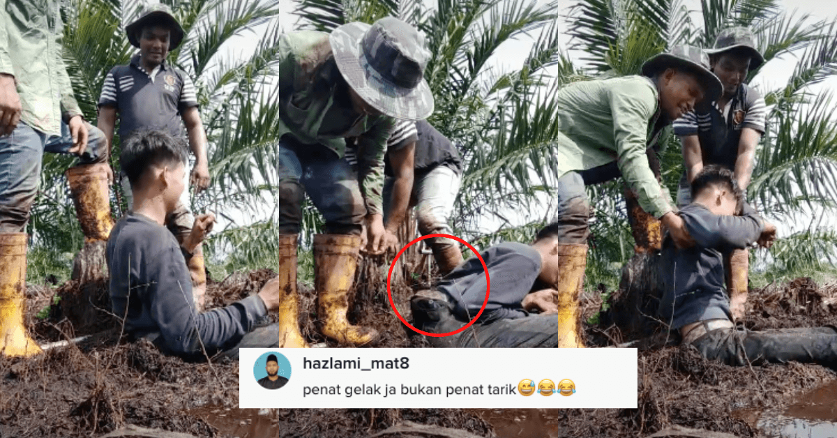 A description of the image