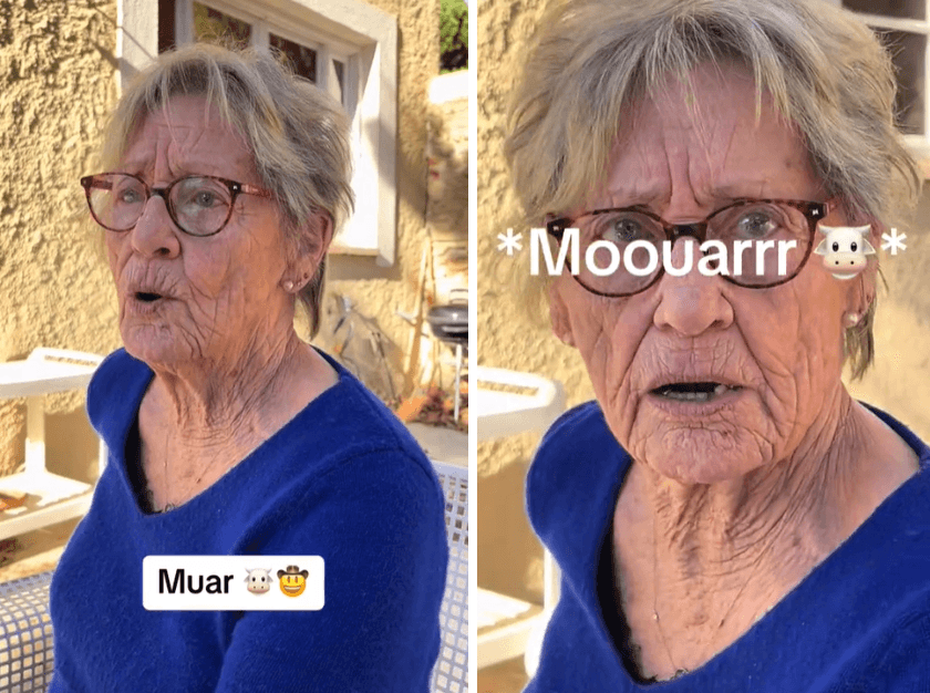 A description of the image